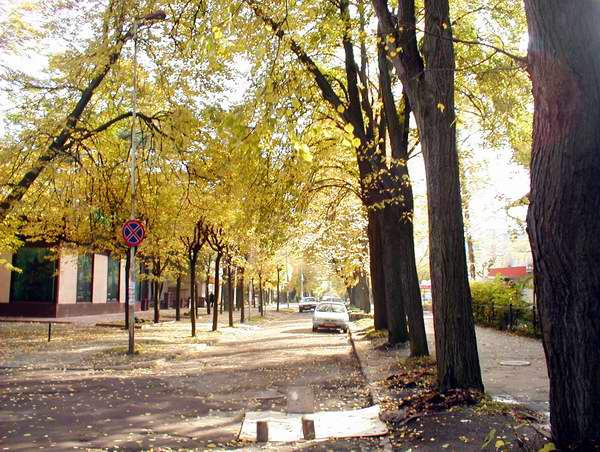 Такая немрачная осень