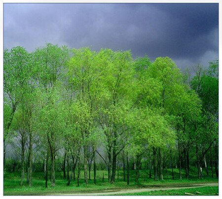 Хорошая погодка