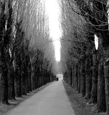 аллея грусти