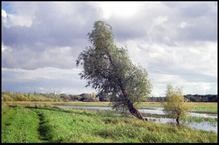 Перед грозой