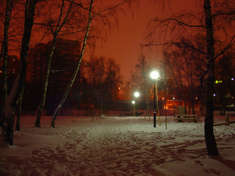 Багряный сон