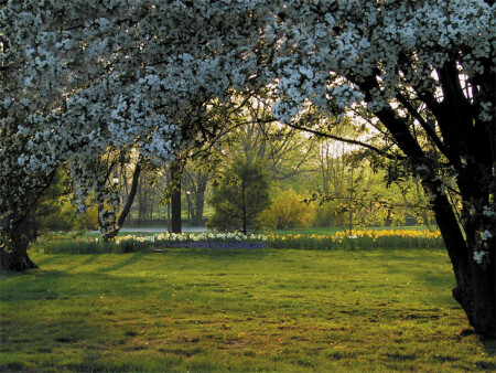 Spring