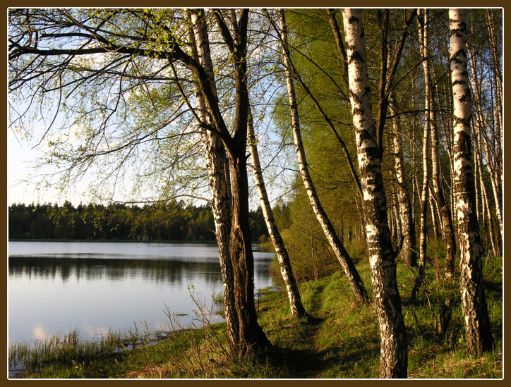 Пейзаж