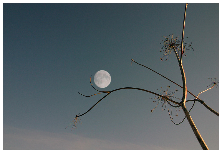 sonate lunaire