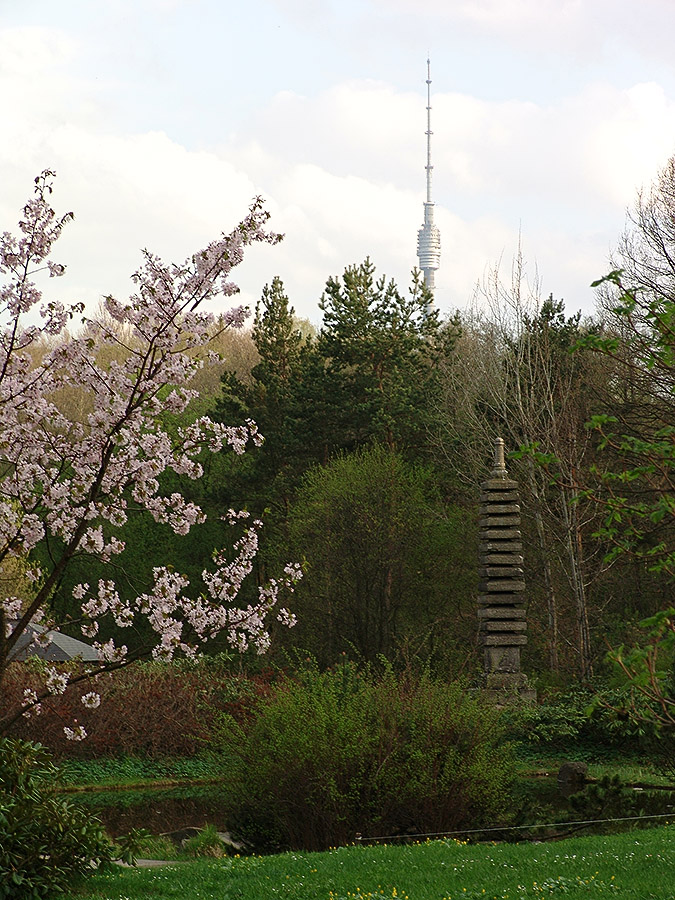 Tower x 2