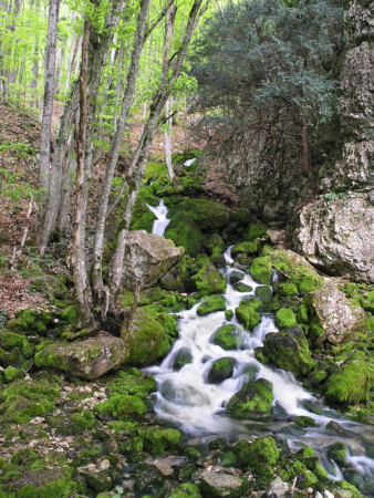 Источник Пания в Большом каньоне Крыма
