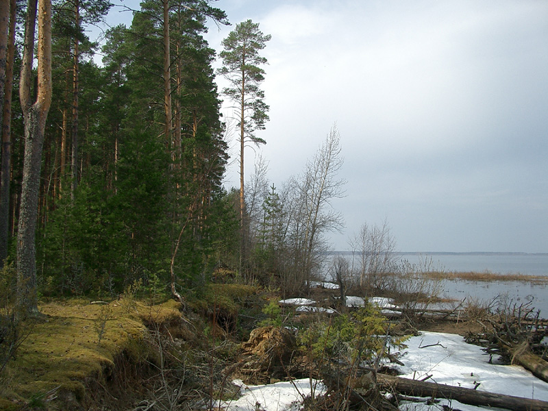 Вода всегда забирает свое