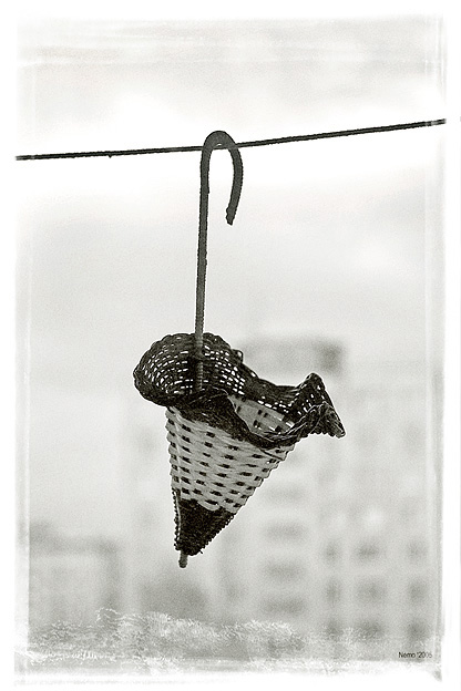 Umbrella
