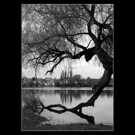 Прогулки пана Антонa [11]