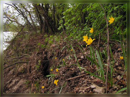 В ожидании солнца