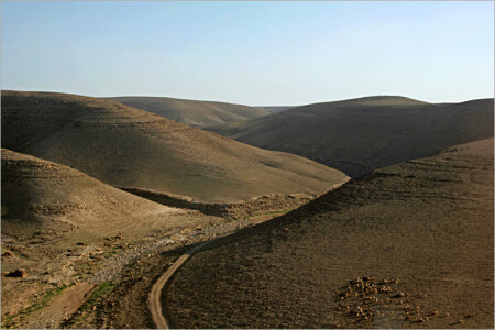 бескрайние просторы..