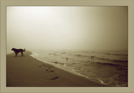 Застыть на миг... услышать тишину