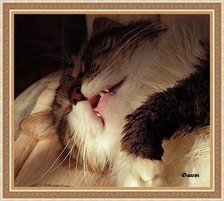 И послал мне Господь сон праведника...