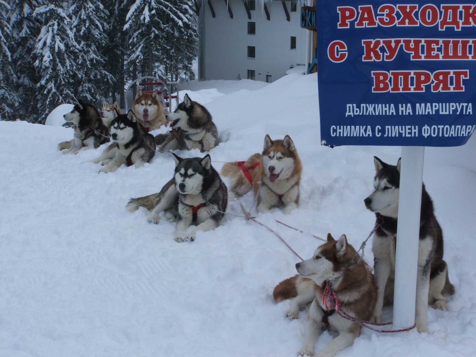 Кому прокатится?