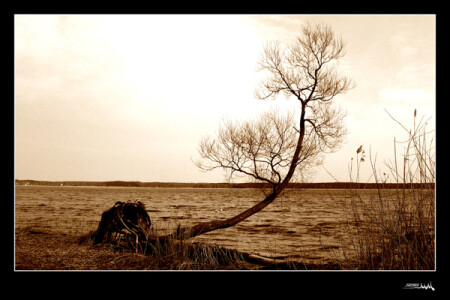 Одиночество