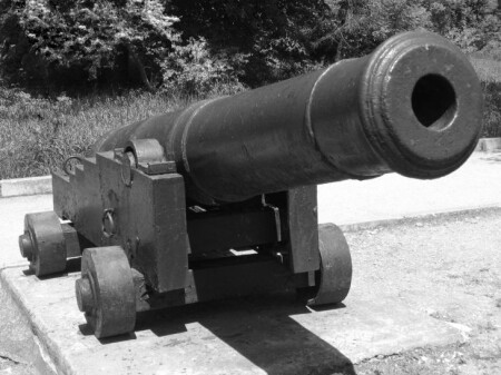 The Real Gun
