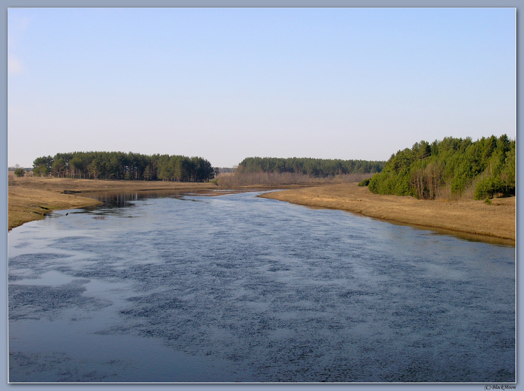 Весенняя зарисовка