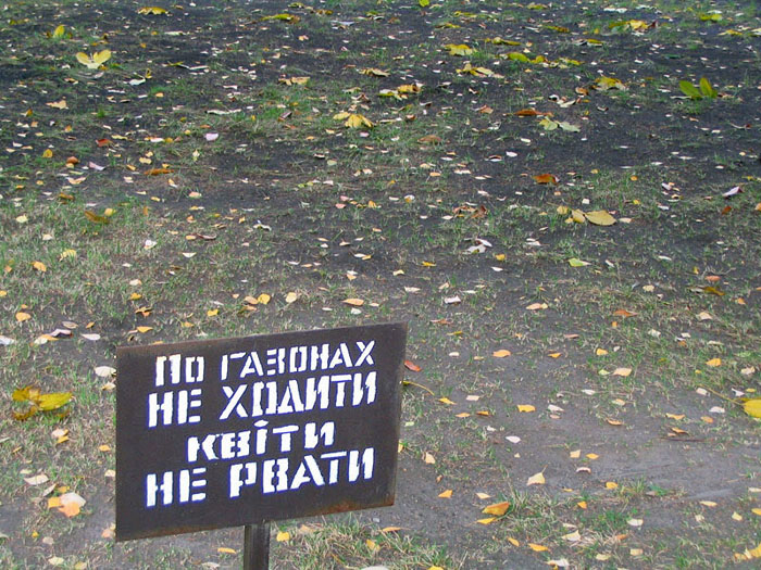 А где цветочки??