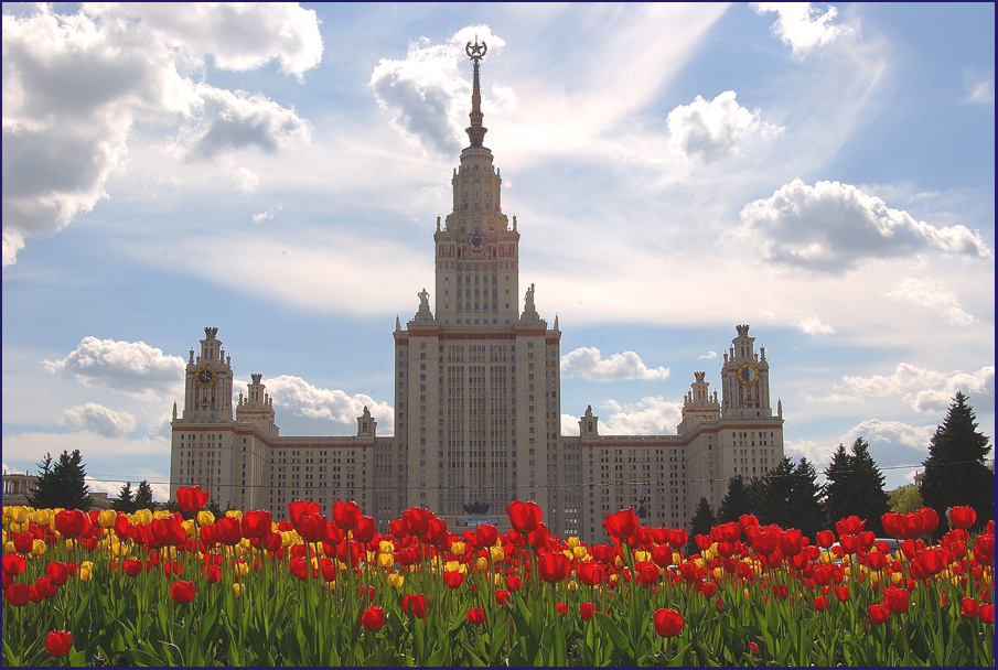 15 мая 2005 г.