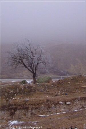 Одиноко в тумане
