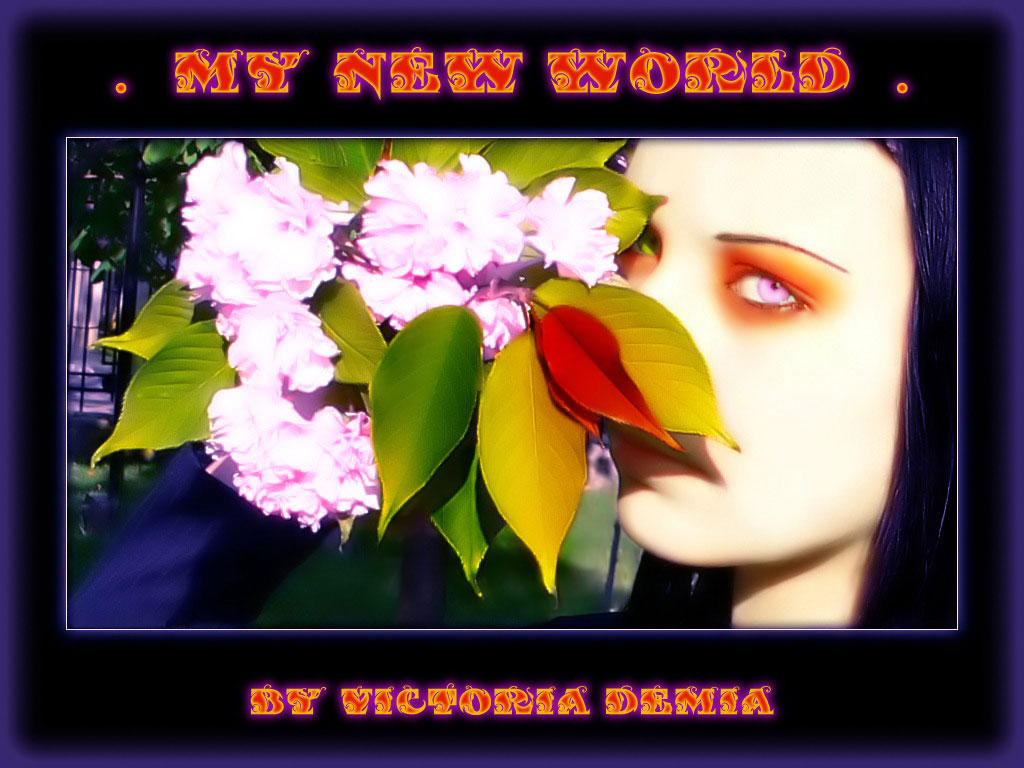 My New World
