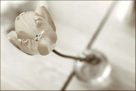 delicate like...