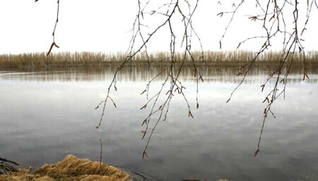НАД ШИРОКОЙ ВОДОЙ!