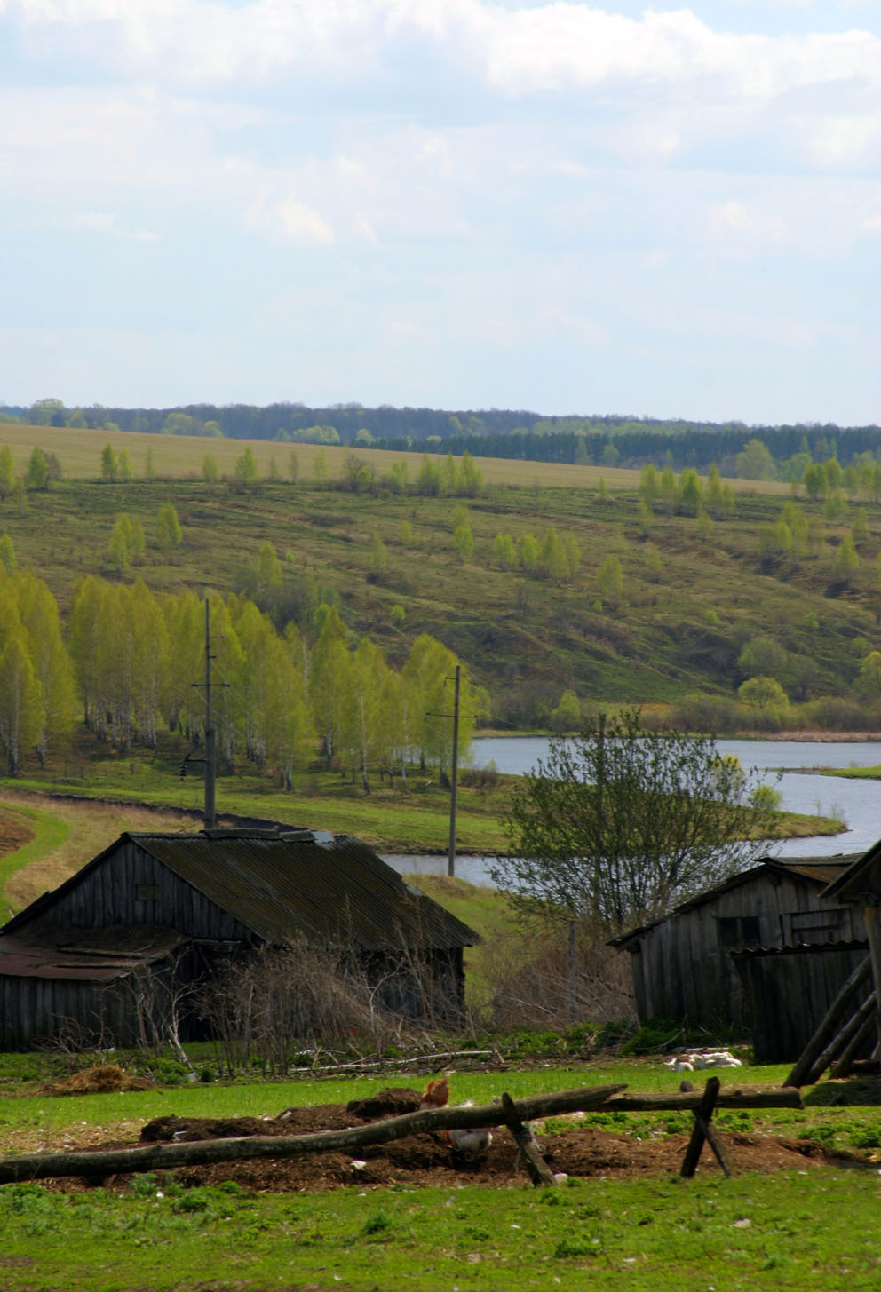весна в деревне