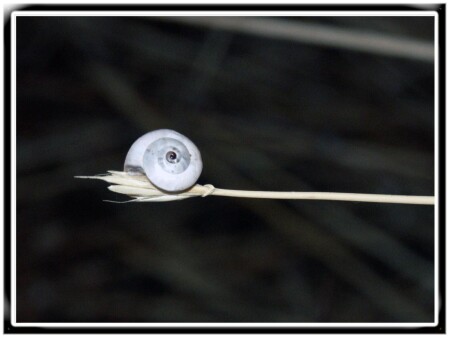 финиш (марафон)