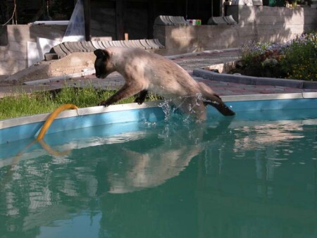 Боже, какой конфуз...