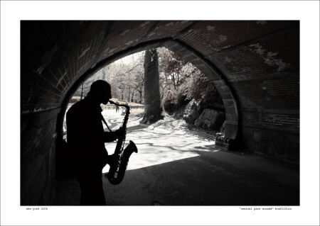 "CENTRALPARK SOUNDS" NEW YORK