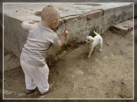 Обмен опытом