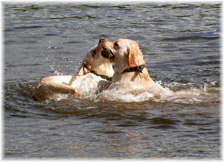 Водные процедуры