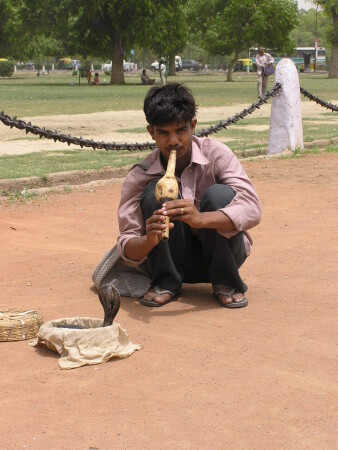 Заклинатель змей