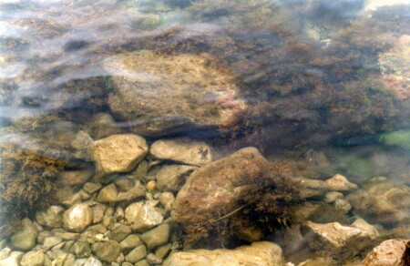 Морское дно