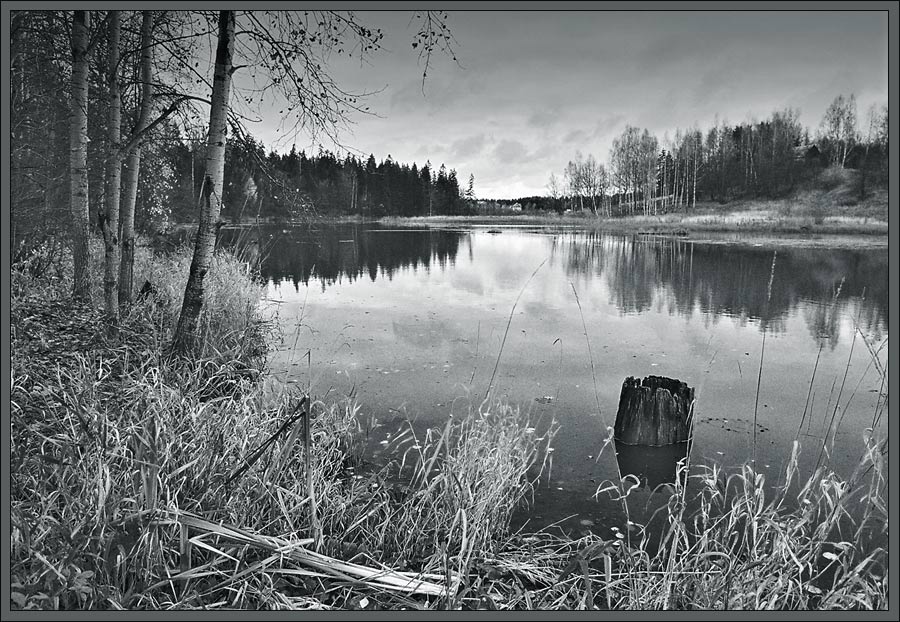 a little gloomy landscape