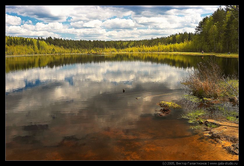 Фактура цвета