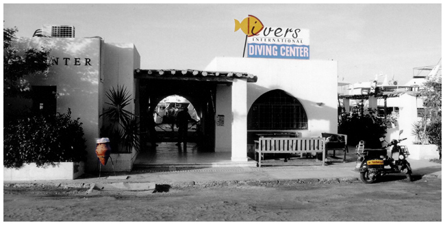 divers international