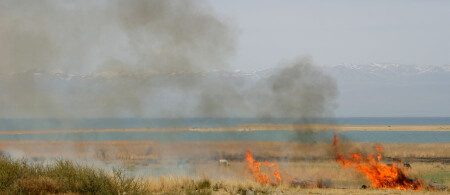Четыре стихии
