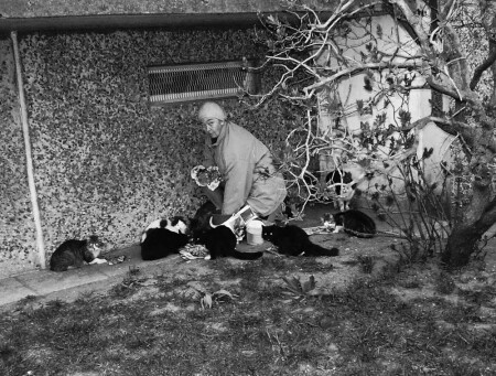 Чертова восьмерка и бабка