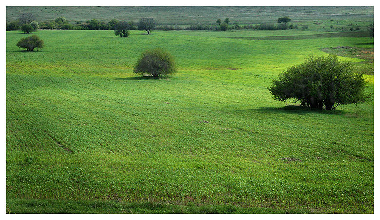 Весенний мотив.