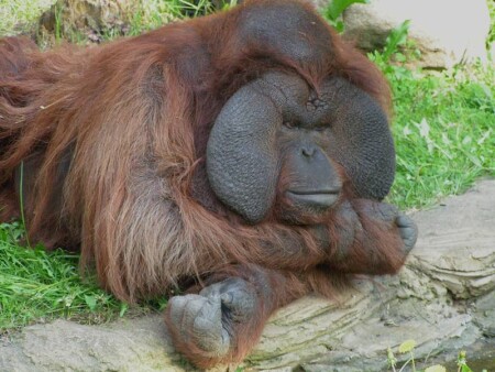 Кто от кого...?