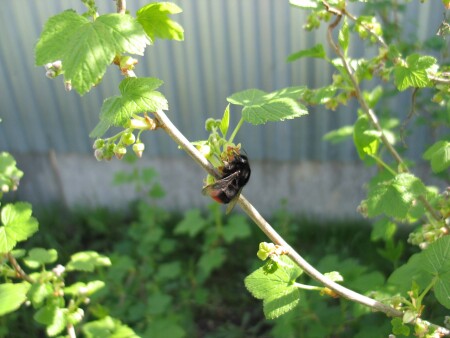 В жаркий полдень