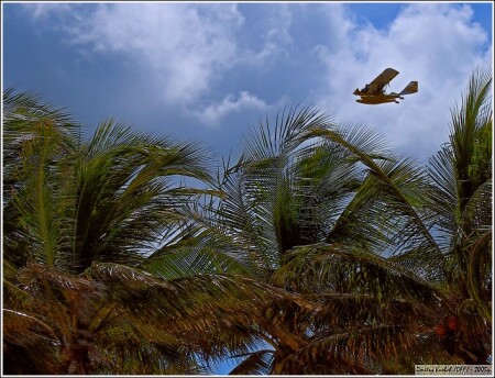 Пролетая над гнездом Фиделя)))