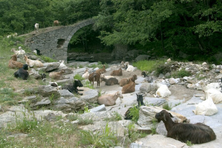 Старый мост