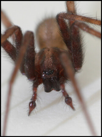 Он придёт за тобой...