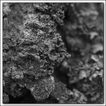 I takoe toge mogno uvidet&#039;.