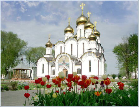 В майских цветах