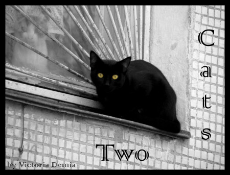 Two Cats