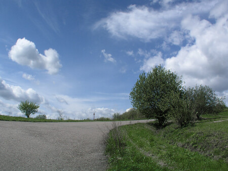 Парковая1